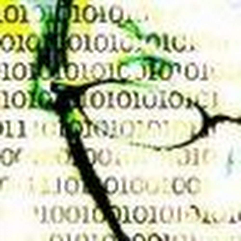 Meet your Posher, Gillian